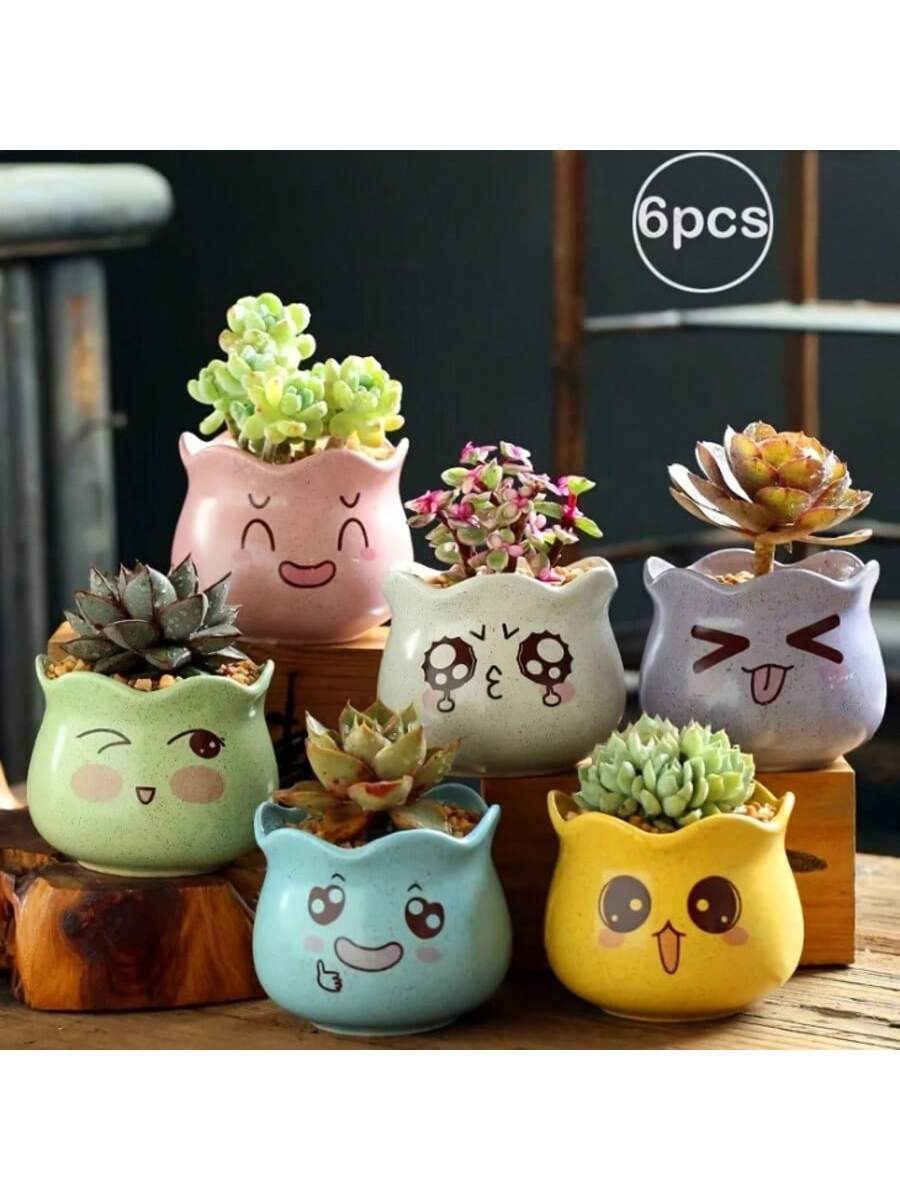 6pcs/set Cartoon Cute Ceramic  - Echeveria Succulent review and price