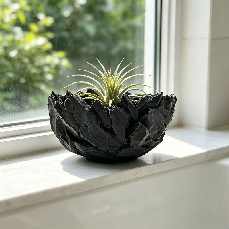 Plant Pot Large Caliber Stone  - Echeveria Succulent review and price